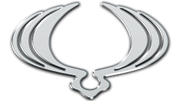 SsangYong