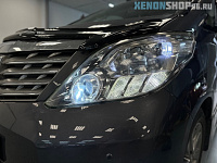 TOYOTA ALPHARD - замена линз